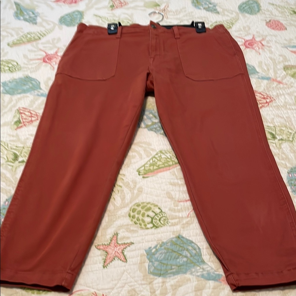 Rust Red Cropped Pants